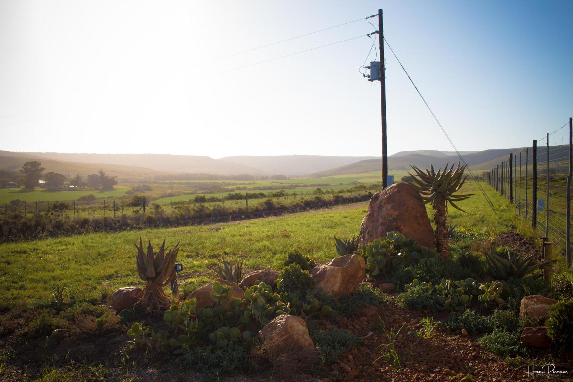 Hartenbos Private Game Lodge المظهر الخارجي الصورة