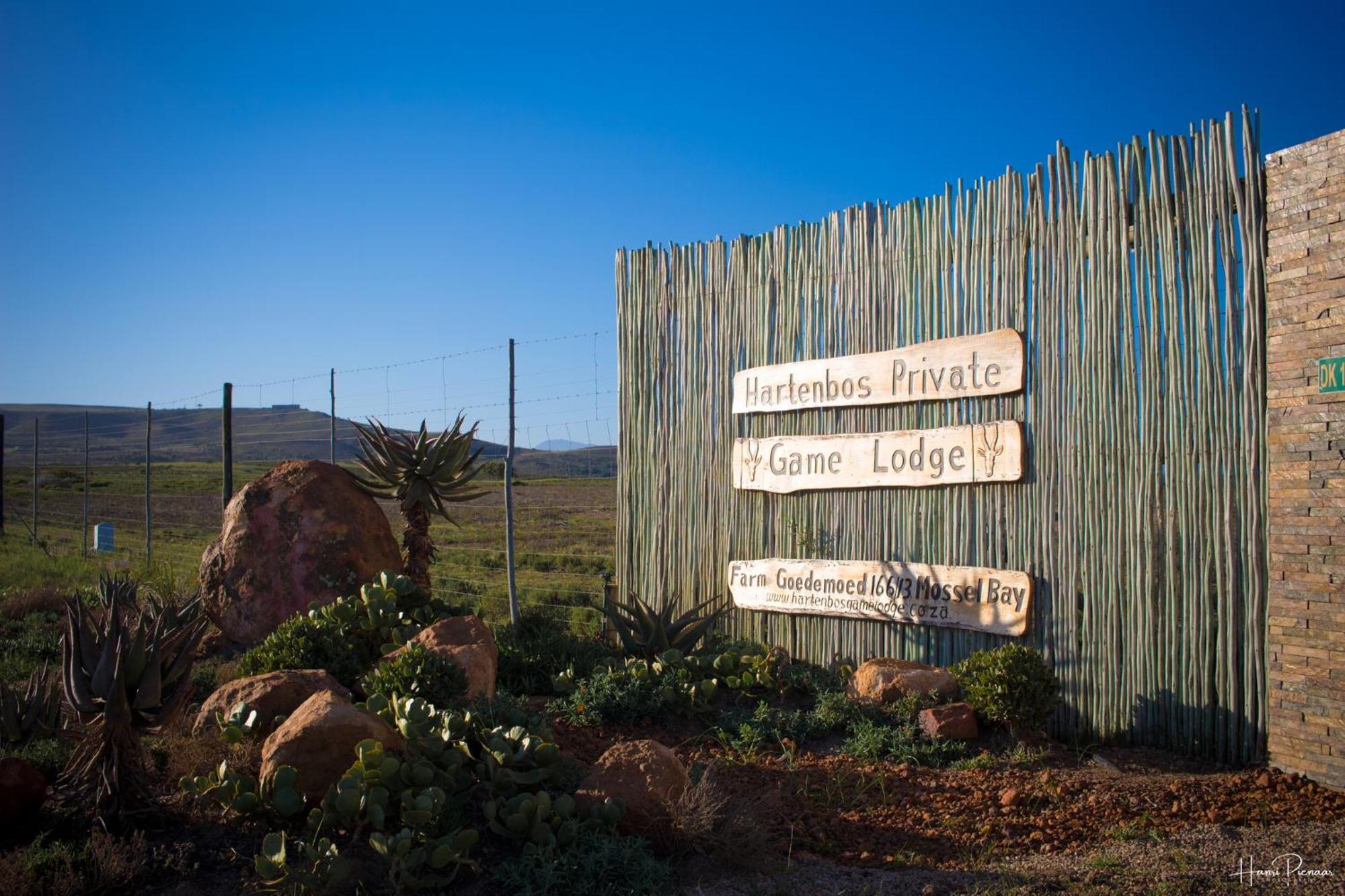 Hartenbos Private Game Lodge المظهر الخارجي الصورة